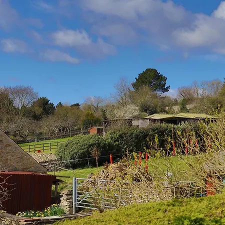 Dandelion - A Gorgeous Family Vakantiehuis