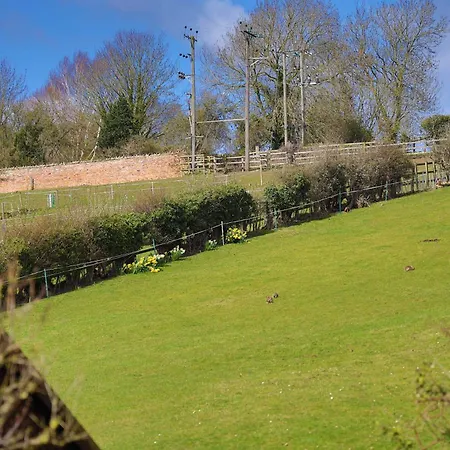 Vakantiehuis Dandelion - A Gorgeous Family *