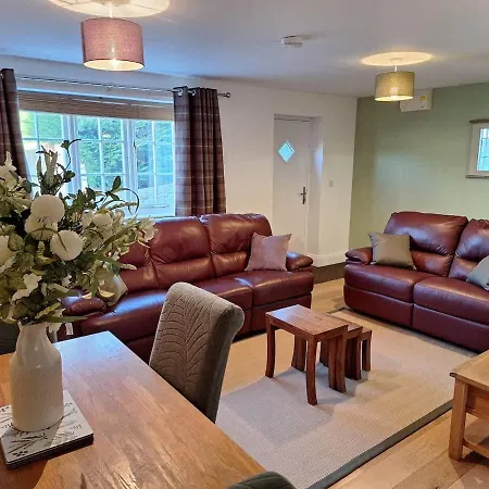 Dandelion - A Gorgeous Family