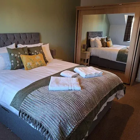 Dandelion - A Gorgeous Family * Snainton